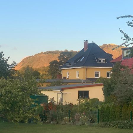 Ferienwohnung Bleicherode Dış mekan fotoğraf